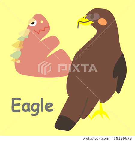 字母卡鷹 68189672