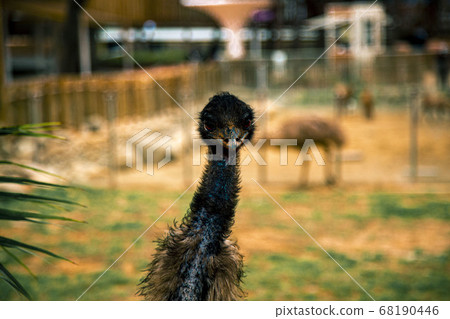 It looks at me i looks at it It looks at me i looks at it 68190446