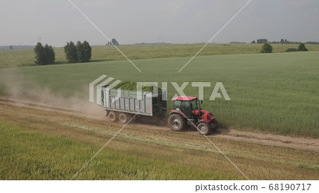 Aerial view tractor with trailer carries freshly cut feed crop to farm. Farmers will use plants for animal feed, preparing feed for winter. Modern Technologies in Agriculture 68190717