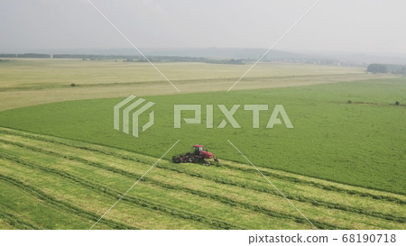Combine harvester working in field, harvesting feed crop. Combine mechanically cutting dry fresh crop and tractor combines mowed crop in line, furrows for further collection. 68190718