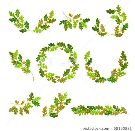 Oak Branches with Green Leaves and Acorns Arranged in Wreath and Semi Circle Vector Set 68190881