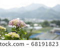 Mountains and hydrangea 68191823