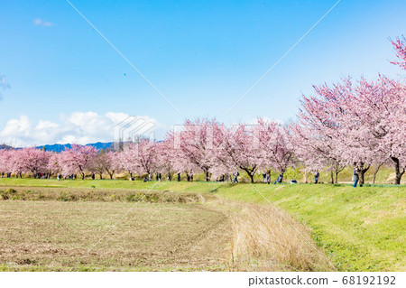 Kitaizumi Sakuragaya Park Kitaizumi Sakuragaya Park 68192192