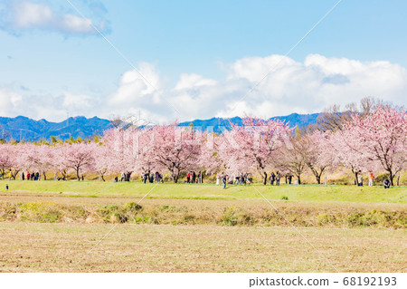 Kitaizumi Sakuragaya Park 68192193