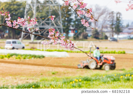 三月在北淺草櫻月見公園 三月在北淺草櫻月見公園 68192218