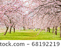 三月在北淺草櫻月見公園 68192219