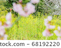 三月在北淺草櫻月見公園 68192220