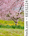 三月在北淺草櫻月見公園 68192224