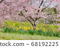 三月在北淺草櫻月見公園 68192225