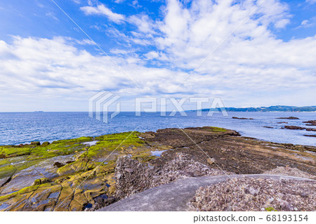 (Shizuoka Prefecture) Senjojiki, Ebisu Island, Izu Peninsula Geopark (Shizuoka Prefecture) Senjojiki, Ebisu Island, Izu Peninsula Geopark 68193154