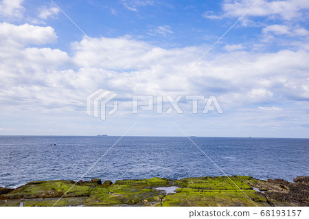 (Shizuoka Prefecture) Senjojiki, Ebisu Island, Izu Peninsula Geopark (Shizuoka Prefecture) Senjojiki, Ebisu Island, Izu Peninsula Geopark 68193157