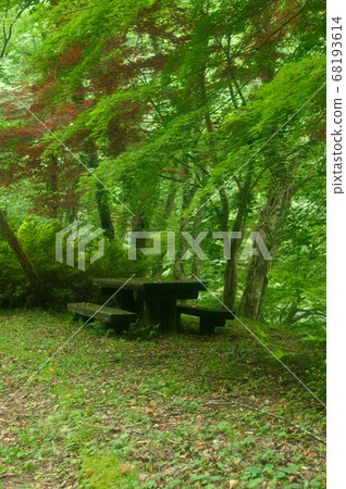森林長椅 68193614