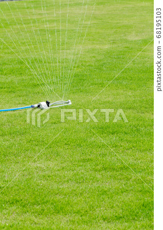 Lawn image 68195103