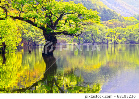 Main product Main product 68195236