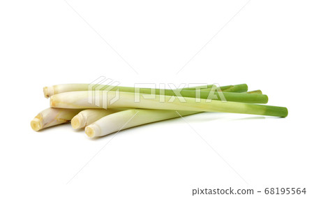 Fresh lemongrass on white background 68195564