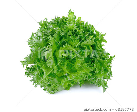 Frillice Iceberg isolated on white background Frillice Iceberg isolated on white background 68195778