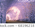 花隧道 68196218