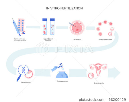Human fertility concept 68200429