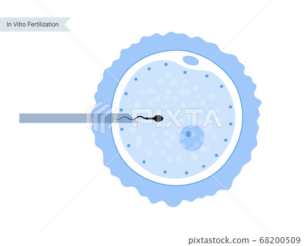 Human fertility concept 68200509