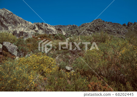Landscape with rocky cliffs covered by green bushes Landscape with rocky cliffs covered by green bushes 68202445