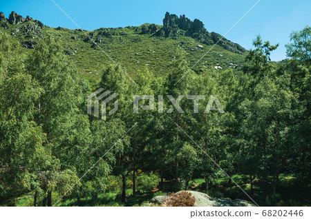 Landscape with rocky cliffs covered by bushes and trees Landscape with rocky cliffs covered by bushes and trees 68202446