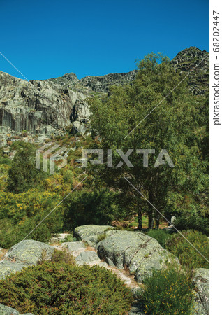 Landscape with rocky cliffs covered by bushes and trees Landscape with rocky cliffs covered by bushes and trees 68202447