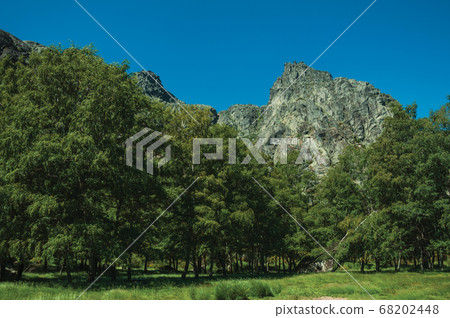 Landscape with rocky cliffs covered by bushes and trees Landscape with rocky cliffs covered by bushes and trees 68202448