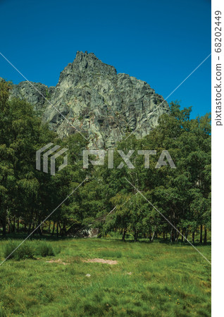 Landscape with rocky cliffs covered by bushes and trees Landscape with rocky cliffs covered by bushes and trees 68202449
