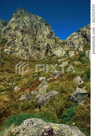 Landscape with rocky cliffs covered by green bushes Landscape with rocky cliffs covered by green bushes 68202450