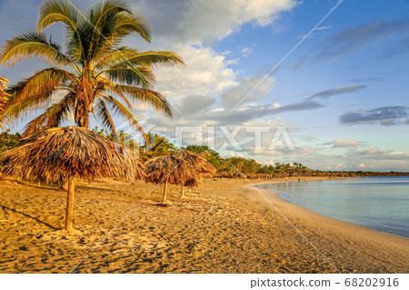 Rancho Luna sandy beach with palms and straw 68202916