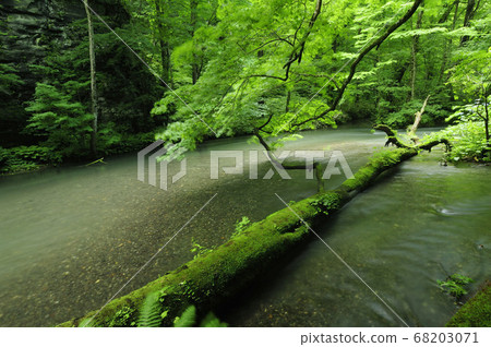 Oirase stream 68203071