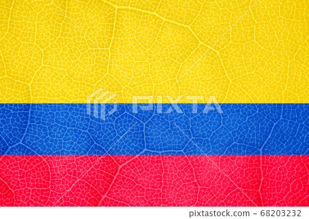 flag of Colombia on the structure of a tree leaf macro flag of Colombia on the structure of a tree leaf macro 68203232