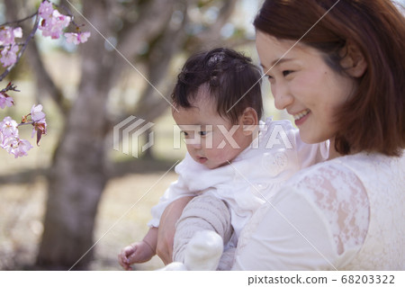 Parent and child under the cherry tree 68203322