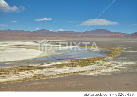 Red waters and flamingos at Colorada Lagoon - South of Bolivia. Red waters and flamingos at Colorada Lagoon - South of Bolivia. 68203459