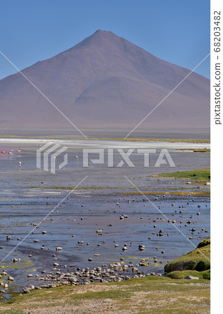 Red waters and flamingos at Colorada Lagoon - South of Bolivia. 68203482