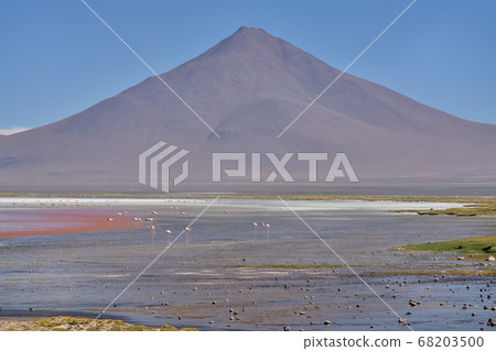 Red waters and flamingos at Colorada Lagoon - South of Bolivia. 68203500