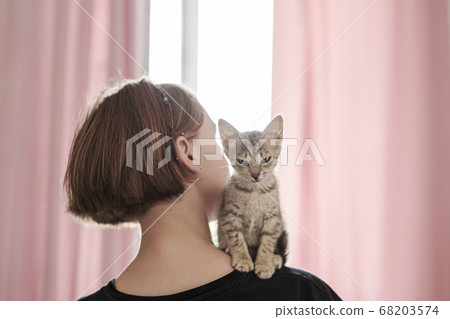 Cute little gray kitten with green eyes sits on the shoulder of the mistress 68203574