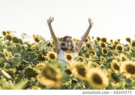 Young beautiful woman in a sunflower field on a beautiful summer day. 68203575