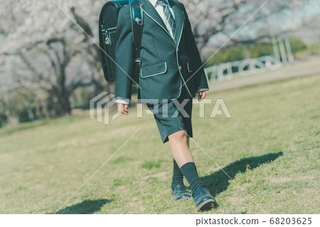 elementary student, primary school child, primary school student 68203625