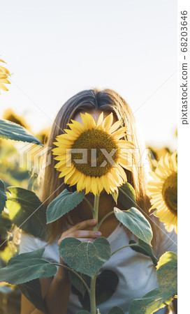Young beautiful woman having fun in a sunflower field 68203646