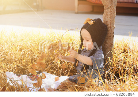 Portrait of 2-3 years old child in autumn garden Portrait of 2-3 years old child in autumn garden 68203894