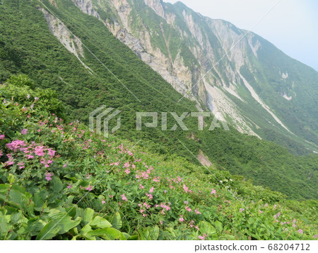 Utopia, the summer mountain, is a healing flower garden Utopia, the summer mountain, is a healing flower garden 68204712