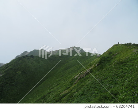 Utopia, the summer mountain, is a healing flower garden Utopia, the summer mountain, is a healing flower garden 68204741