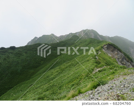 Utopia, the summer mountain, is a healing flower garden Utopia, the summer mountain, is a healing flower garden 68204760