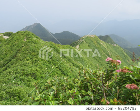 Utopia, the summer mountain, is a healing flower garden Utopia, the summer mountain, is a healing flower garden 68204782