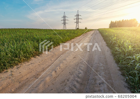 Road by the field at summer sunset. Road by the field at summer sunset. 68205004