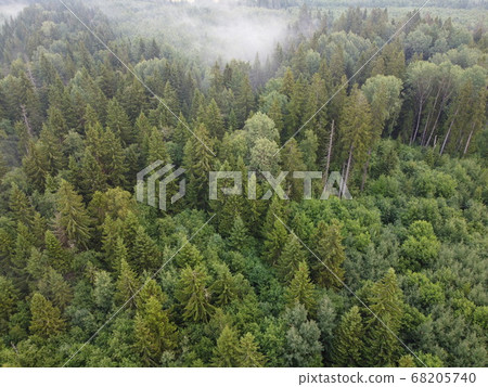 top view of a burning green forest, aerial photo 68205740