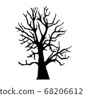 Silhouette old dry wood 68206612