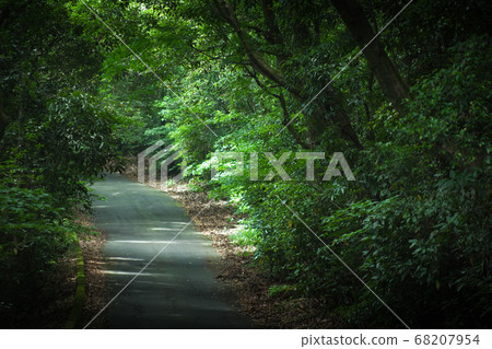 在山上單車道 在山上單車道 68207954