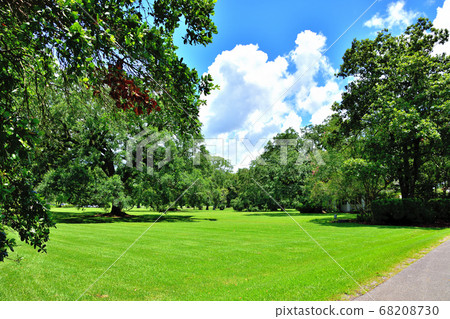 Southern American Farm Oakley Plantation Giant Oak Tree Southern American Farm Oakley Plantation Giant Oak Tree 68208730